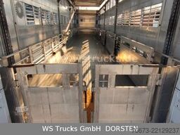 VOLVO FH 460 Mega mit Finkl 3 Stock Hubdach