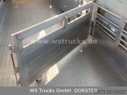 VOLVO FH 460 Mega mit Finkl 3 Stock Hubdach
