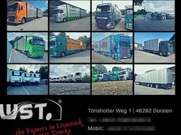 VOLVO FH 460 Mega mit Finkl 3 Stock Hubdach