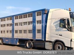 VOLVO FH 460 Mega mit Finkl 3 Stock LOF möglich