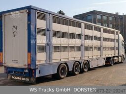 VOLVO FH 460 Mega mit Finkl 3 Stock LOF möglich