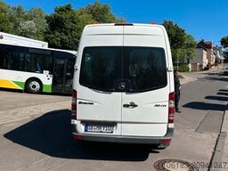 MERCEDES-BENZ 313 CDI Sprinter