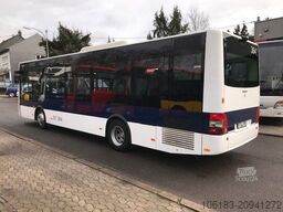 MAN A 66 Midi, 14 - 250, 2 Stück