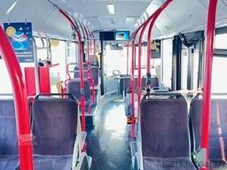 MAN A 47,  NL 293, mehrere Fahrzeuge