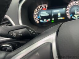 FORD S-MAX S-Max 2.0L TDCI ACC TWA AHK KeyLess PDC