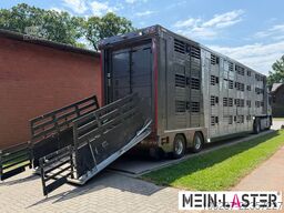Finkl 3 + 4 Stock/ Hubdach / Rampe / Tränke/Funk