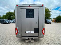 RENAULT Master STX 5 Sitzer  Haras / Hengste