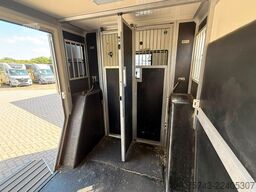 RENAULT Master STX 5 Sitzer  Haras / Hengste