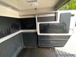 RENAULT Master STX 5 Sitzer  Haras / Hengste