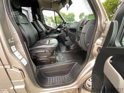 RENAULT Master STX 5 Sitzer  Haras / Hengste