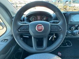 SUNLIGHT T 69 LC *Queensbett *