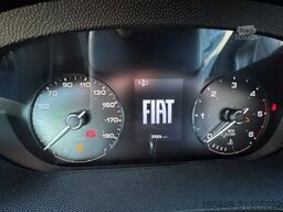 SUNLIGHT T 69 LC *Queensbett *