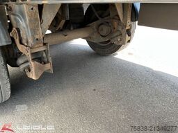 SCHWARZMÜLLER S1*Curtain Quickslider*Lift-Lenkachse*Getränke*