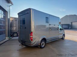 MAN TGE Pferdetransporter Automatik 180PS