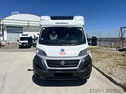 Fiat Ducato Carasuite 650 MF 4 Schlafplätze | Teilintegriert