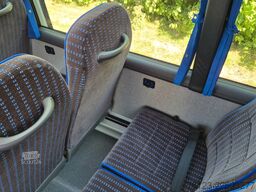 IVECO Daily C 70 City Niederflur 34 PAX auch als CNG
