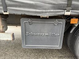  RICOE, BPW-ACHSEN, SCHWANENHALS MIT RAMPEN
