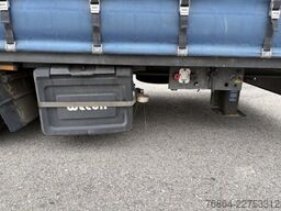 WECON LPRS 24, 06VLS, SAF-ACHSEN, SCHWANENHALS MIT AUFFAHRRAMPEN