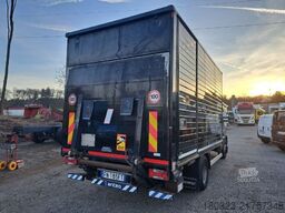 IVECO 70C18