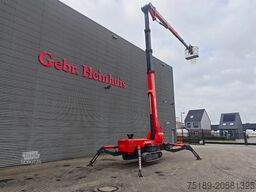 Platform Basket Spider 33.15