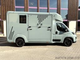 Opel Movano AKX Hengstausstattung Automa