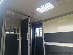 Opel Movano Occasion paardenwagen STX hengsten uitvo...