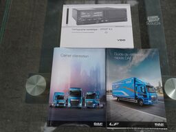 DAF LF 290 / 21 EPAL box / 2021