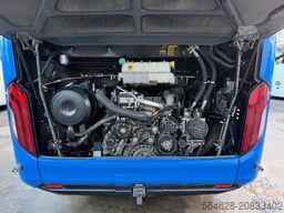 MAN R07 Lion?s Coach