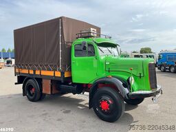 Mercedes LA 312.136 ''Bolneus''
