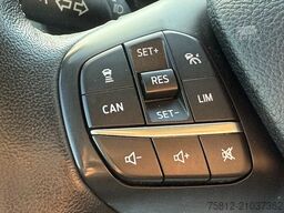 FORD Transit Custom 320 L2 Trend, 9-Sitzer, Kamera