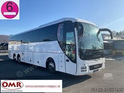 MAN R 09 Lion?s Coach C/516/517/Travego/Neulack