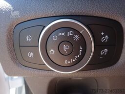 FORD Nugget 185PS Autm. Markise AHK ACC Kamera