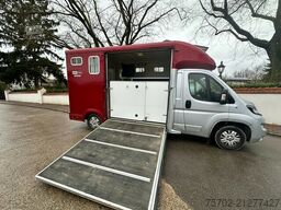 Peugeot Boxer Equi-Trek 1-2 Pferde