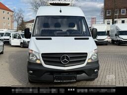 MERCEDES-BENZ Sprinter 316 CDi Kühlkasten Zanotti Tiefkühlung