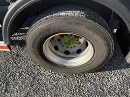 Volvo FLL-290 4x2R Getriebeschaden / Swiss-Vehicle