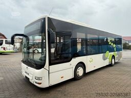 MAN Midi 66 K  12/14   KLIMA  EURO 6   3-Punkt-Gurte