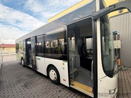 MAN Midi 66 K  12/14   KLIMA  EURO 6   3-Punkt-Gurte