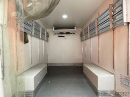 FIAT Ducato Tiefkühlkoffer *Carrier*Klima*motorschade