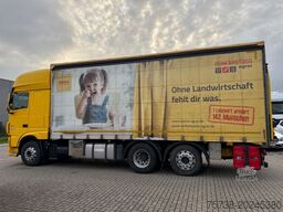 DAF XF 480 SSC/Kompressor/Intader/Dinkel/Getreide