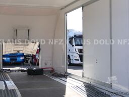 TURATELLO TR S 202 geschlossener Autotransporter