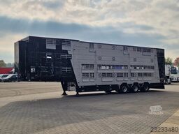 Pezzaioli 3 stock livestock - Water & Ventilation - Lifti...