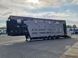 Pezzaioli 3 stock livestock - Water & Ventilation - Lifti...