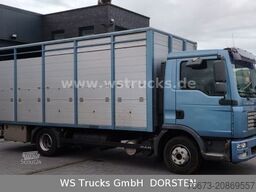 MAN TGL 10.210 1 Stock Viehtransporter