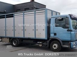 MAN TGL 10.210 1 Stock Viehtransporter