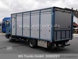 MAN TGL 10.210 1 Stock Viehtransporter