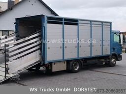MAN TGL 10.210 1 Stock Viehtransporter