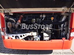 MAN A44 Lion's City L LE