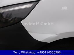 MERCEDES-BENZ Vito Kasten 114/CDI/BT RWD lang / Nr. 195