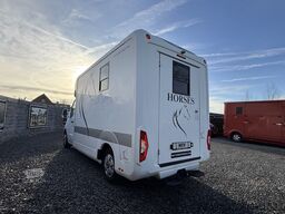 OPEL MOVANO PAARDENWAGEN | HORSETRUCK | STX | STALLI...