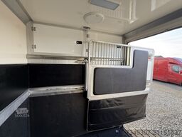 OPEL MOVANO PAARDENWAGEN | HORSETRUCK | STX | STALLI...